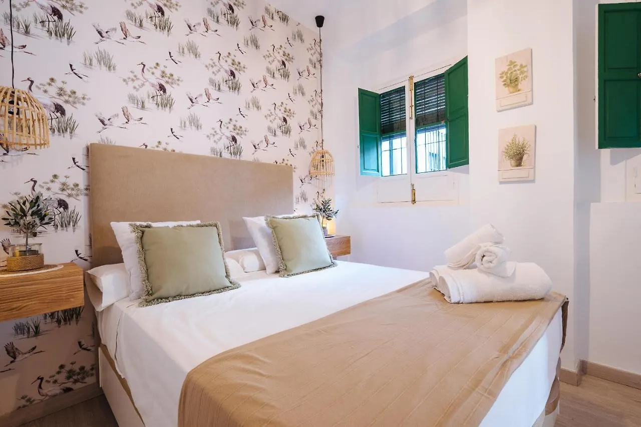 Apartment Apartamento San Eloy Seville