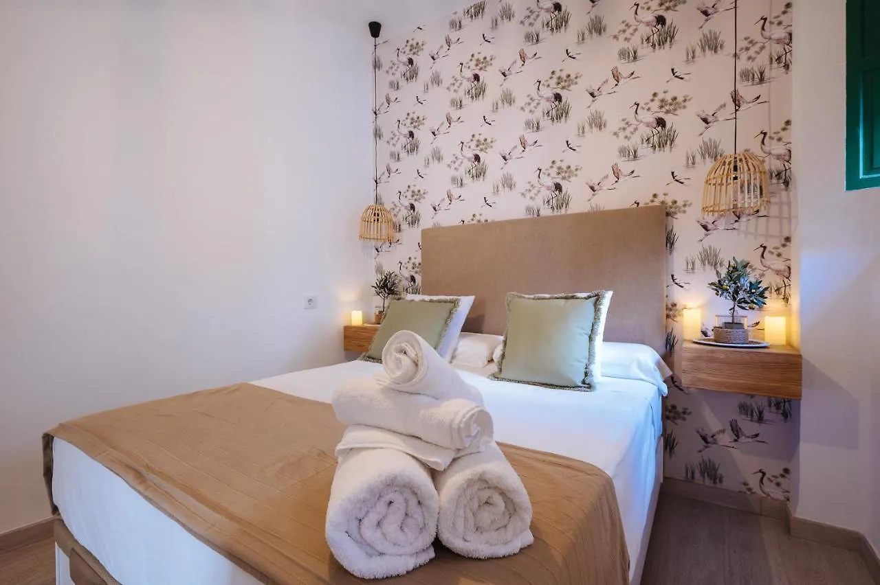 Apartment Apartamento San Eloy Seville